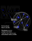 NEW Pavise Extracellular Matrix Restore